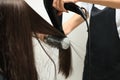 Hairdresser drying woman`s hair in beauty salon, closeup Royalty Free Stock Photo