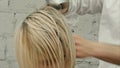 Hairdresser drying woman`s hair using hair dryer Royalty Free Stock Photo