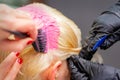 Hairdresser dyes hair of young woman in pink color