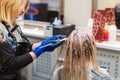 Hairdresser is dying female hair. Hands in glives with brush, coloring in hair salon. Royalty Free Stock Photo