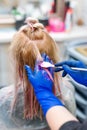 Hairdresser is dying female hair. Hands in glives with brush, coloring in hair salon.