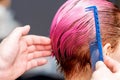 Hands of hairdresser are combing pink hair Royalty Free Stock Photo