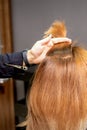 The hairdresser holds a strand in hand between fingers of the female hair. Examination of the hair of the young woman in Royalty Free Stock Photo