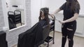 Hairdresser makes hair lamination in a beauty salon for a girl with brunette hair. hair care concept.