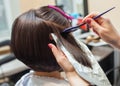 The hairdresser paints the woman`s hair in a dark color, apply the paint to her hair