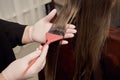 A hairdresser in pink latex gloves is coloring the hair of a female client. Royalty Free Stock Photo