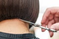 Hairdresser`s hand cutting hair tips Royalty Free Stock Photo