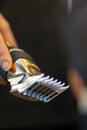 Hairdresser's hand holding a golden automatic shaver Royalty Free Stock Photo