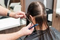 Hairdresser`s hands combing female hair