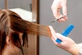 Hairdresser`s hands cutting hair of woman Royalty Free Stock Photo