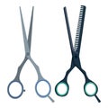 Hairdresser scissors and thinning shears. Vector illlustration o