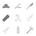 Hairdresser set icons in monochrome style. Big collection of hairdresser vector symbol stock illustration Royalty Free Stock Photo