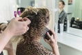 Hairdresser working with beautiful woman in hairdressing salon while she is talking on the phone Royalty Free Stock Photo