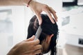 Hairdresser working in hair salon cutting woman`s hair