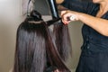 Hairdressers hands drying long black hair with blow dryer and round brush. The model`s face is covered with hair. Royalty Free Stock Photo