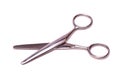 Hairdressers' scissors on a white background.