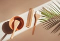 Hairdressers\' tools for dyeing hair in an eco style lie in a sunbeam with a green branch of a palm tree. View from above. Royalty Free Stock Photo