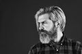 Hairdressing salon. Hipster bleached hair. Barber fashionable master. Bearded man long beard. Brutal caucasian hipster Royalty Free Stock Photo