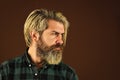 Hairdressing salon. Hipster bleached hair. Barber fashionable master. Bearded man long beard. Brutal caucasian hipster Royalty Free Stock Photo