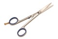 Hairdressing scissors Royalty Free Stock Photo