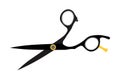 Hairdressing scissors. Barbershop symbols. Image on a white background.