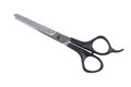 Hairdressing scissors closeup isolated on white, top view Royalty Free Stock Photo