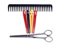 Hairdressing scissors, comb and clips