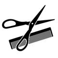 Hairdressing scissors and comb