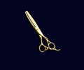 Hairdressing scissors gold on a blue background. 3D image