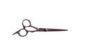 Hairdressing scissors isolated on a white background Royalty Free Stock Photo