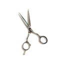 Hairdressing scissors isolated on a white background. Beauty and fashion Royalty Free Stock Photo