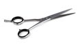 Hairdressing scissors isolated on a white background. Hair cutting scissors. Professional shears Royalty Free Stock Photo