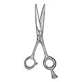 Hairdressing scissors isolated on white background.Vector graphics Royalty Free Stock Photo
