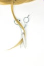 Hairdressing Scissors with a strand blond hair on a light background close-up Shiny blond hair and hair cutting shears Hairdresser Royalty Free Stock Photo