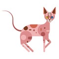 Hairless Sphynx Geometric Cat Flat Design Icon Royalty Free Stock Photo