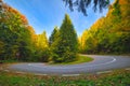 A hairpin in a mountain road in autumn colored forest at sunrise Royalty Free Stock Photo