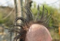 Hairstyle of a punker man with bold head Royalty Free Stock Photo