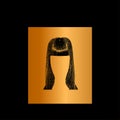 Hairstyle silhouettes. Great set for styling black hair for women. Black and gold background. Vector