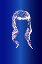 Hairstyle silhouettes. Great set for styling black and blond hair for women. Blue and white background. Vector EPS8