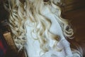 Hairstyles long curls on the blonde bride