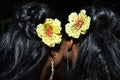 Hairstyles two dark-haired girls with yellow flowers in her hair Royalty Free Stock Photo