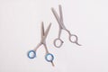 Hairstyling Scissors and Shears