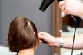 Hairstylist dries hair of woman Royalty Free Stock Photo
