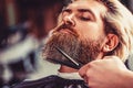 Hairstylist serving client at barber shop, bearded. Barber scissors, barber shop. Vintage barbershop, shaving. Man Royalty Free Stock Photo