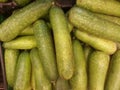 But this hairy or cit kwa is a cucumber vegetable which with various recipes like other cucumbers also has many benefits