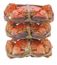 Hairy crabs on the Bamboo steamer Isolated in Royalty Free Stock Photo