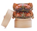 Hairy crabs on the Bamboo steamer Isolated in Royalty Free Stock Photo