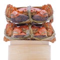 Hairy crabs on the Bamboo steamer Isolated in Royalty Free Stock Photo