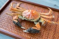 Hairy crabs, chinese cuisine