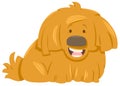 Hairy dog animal character Royalty Free Stock Photo